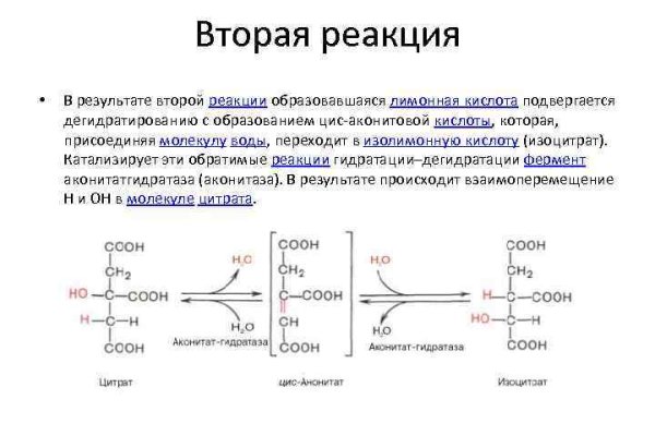 Kra35.cc