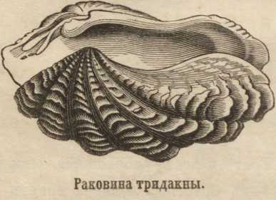 Сайт кракен зайти